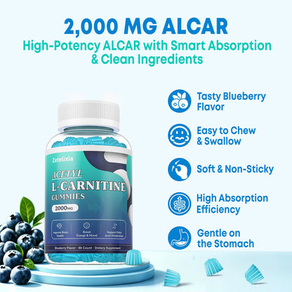 2 Pack Sugar Free Acetyl L-Carnitine Gummies, L-Carnitine Supplement for Women & Men, with Vitamin C & B12, ALCAR for Energy, Brain & Heart Health Support, Vegan, Non-GMO, 120 Count