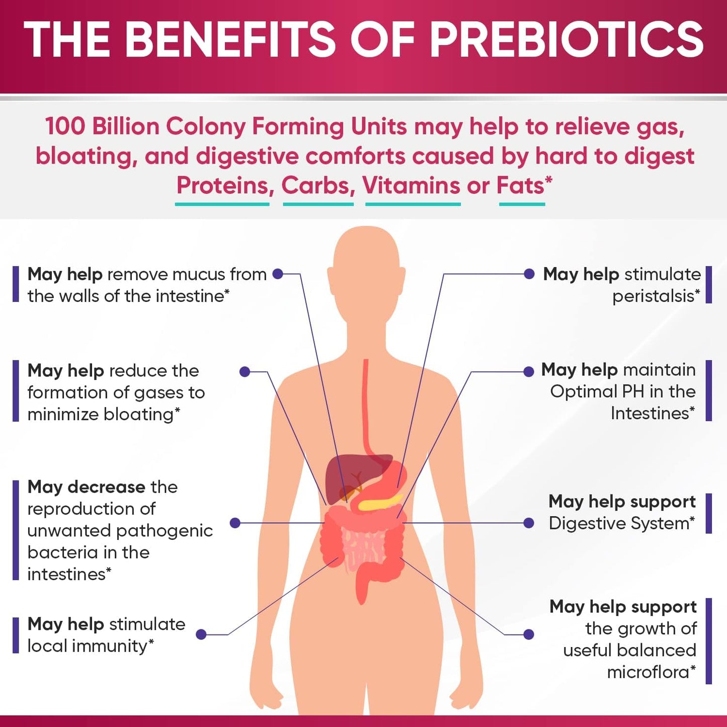 Wholesome Wellness Probiotics for Women 100 Billion CFUs with Prebiotics, Digestive Enzymes + Grass Fed Desiccated Beef Liver Capsules Bundle