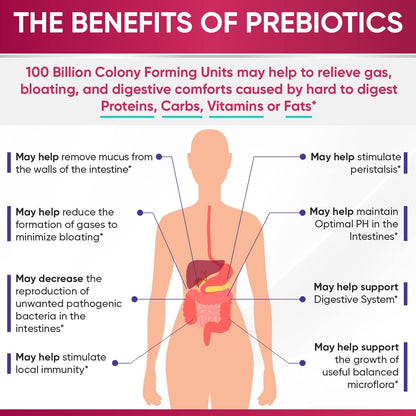Wholesome Wellness Probiotics for Women 100 Billion CFUs with Prebiotics, Digestive Enzymes + Grass Fed Desiccated Beef Liver Capsules Bundle