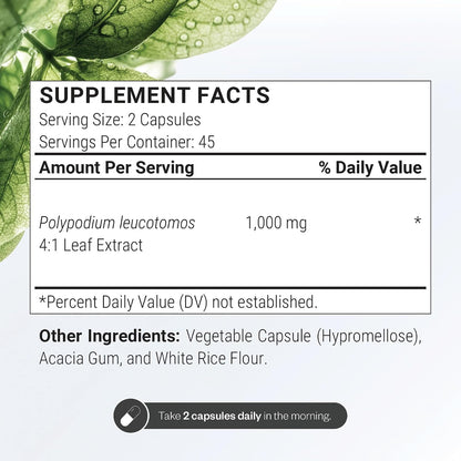 SuperSmart Polypodium Leucotomos Extract 1000mg per Serving (Fern Extract 4:1) - PLE Supplement | Non-GMO & Gluten Free - 90 Vegetarian Capsules
