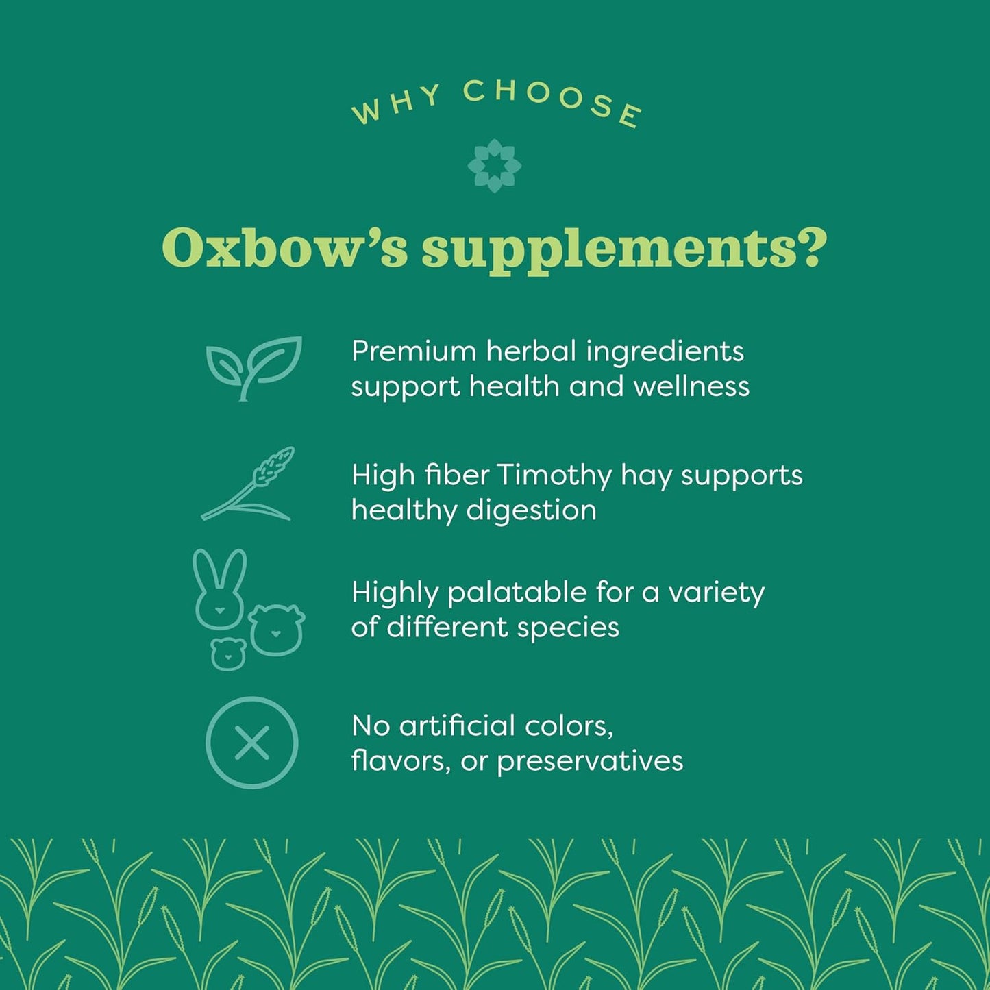 Oxbow Natural Science Joint Supplement for Rabbits & Guinea Pigs, 4.2 oz | Healthy Cat Treats, Natural Feline Snacks, Protein Rich, Crunchy Biscuits, Indoor Cats, Kitten Rewards, Made in USA