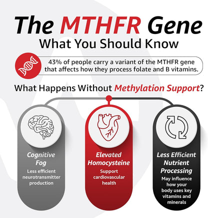 10X Health Methylated Multivitamin - 90 Capsules | Mthfr Supplement: 34-in-1 Formula, 800mcg B12, 5-MTHF & NAC, Methyl B Complex, Non-GMO