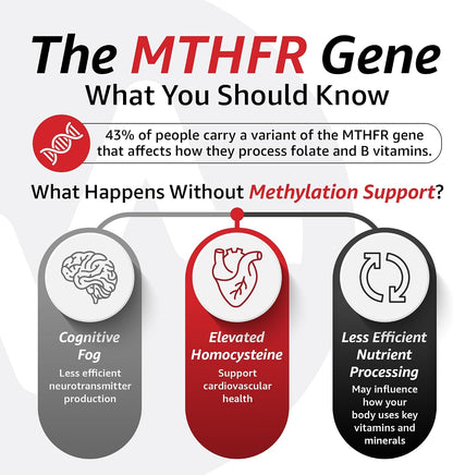 10X Health 5 Mthf - 60 Capsules | L Methylfolate: Methylated Folate & Magnesium, Brain & DNA Support, Bioavailable