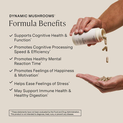 Stonehenge Health Dynamic Brain + Dynamic Mushrooms Bundle Memory Acquisition, Retention, & Recall with 40 Unique Nootropic Brain & Immune System Support