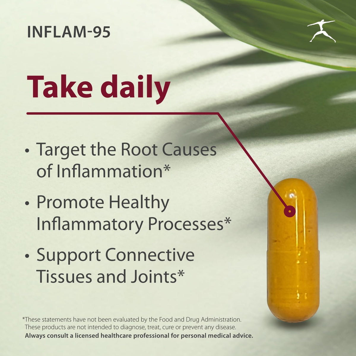 BIOSPEC NUTRITIONALS Inflam-95 - Ginger Root Extract 2,000 mg, Curcumin Root Extract, Boswellia Serrata Extract, Nettle Leaf Extract, Bioperine - Support Healthy Inflammatory Response*