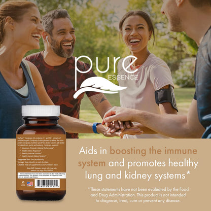 PURE ESSENCE LABS MyPure Cordyceps 4X Mushrooms - Concentrated Cordyceps Mushroom Powder Supplements for Immune System, Stress Response, Physical & Mental Performance - 2 Months Supply