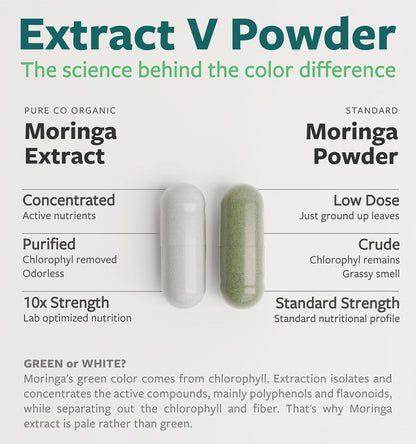 USDA Organic Moringa Capsules - High Potency Organic Moringa 500mg Extract 10:1 Per 1 Capsule Serving - Nutrient Dense Green Superfood Antioxidant - Vegan & Non-GMO Moringa (2 Month Supply)