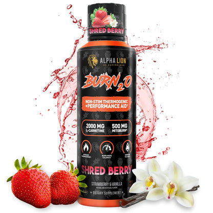 ALPHA LION Burn2O L-Carnitine Liquid 2000mg – Stim Free Super Thermogenic Fat Burner with MitoBurn® & CaloriBurn GP®, Metabolism Booster, Zero Calorie, Sugar-Free (31 Servings, Grapezilla Flavor)