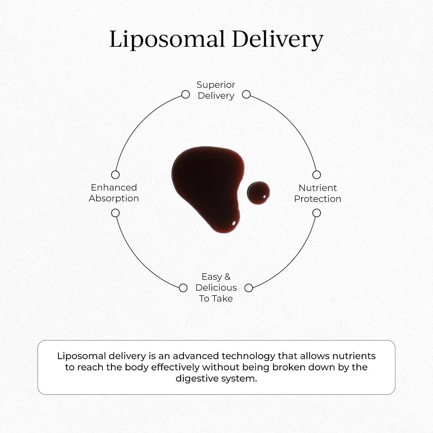 CYMBIOTIKA Liposomal Elderberry with Vitamin E for Immune Support