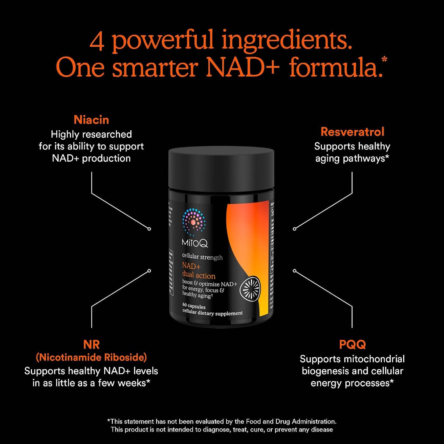 MitoQ NAD+ Dual Action Supplement - NAD+ Supplement with Nicotinamide Riboside (NR), Niacinamide, Resveratrol, & PQQ - Supports Cellular Energy, Focus, Mental Clarity, & Healthy Aging (60 Capsules)