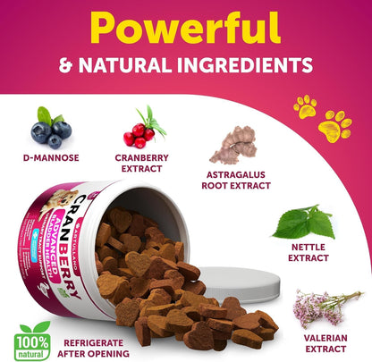 Dog UTI Treatment + Wild Alaskan Salmon Oil fo Dogs Bundle - Cranberry Supplement for Dogs - Bladder Control for Dogs - Dog Urinary Tract Infection Treatment - UTI Medicine for Dogs - Dog Cranberry Su
