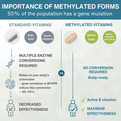 Igennus Methylated Multivitamin for Men with 22 Actives, 60 Tablets | Lycopene for Antioxidant Support, High Potency B12, Sustained Release, Pure & Clean, Non-GMO & Halal