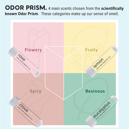 MOXĒ Smell Training Kit, Made in USA, 4 Essential Oils, Olfactory Regeneration, Helps Restore Sense