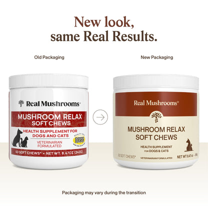 Real Mushroom Immune Pet Chews – For Daily Digestive & Immune Health – Mushrooms for Dogs & Cats Functional Treat – Mushroom Supplement for Dogs & Cats – 1 to 4 Chews For All Breeds & Sizes (60 Count)