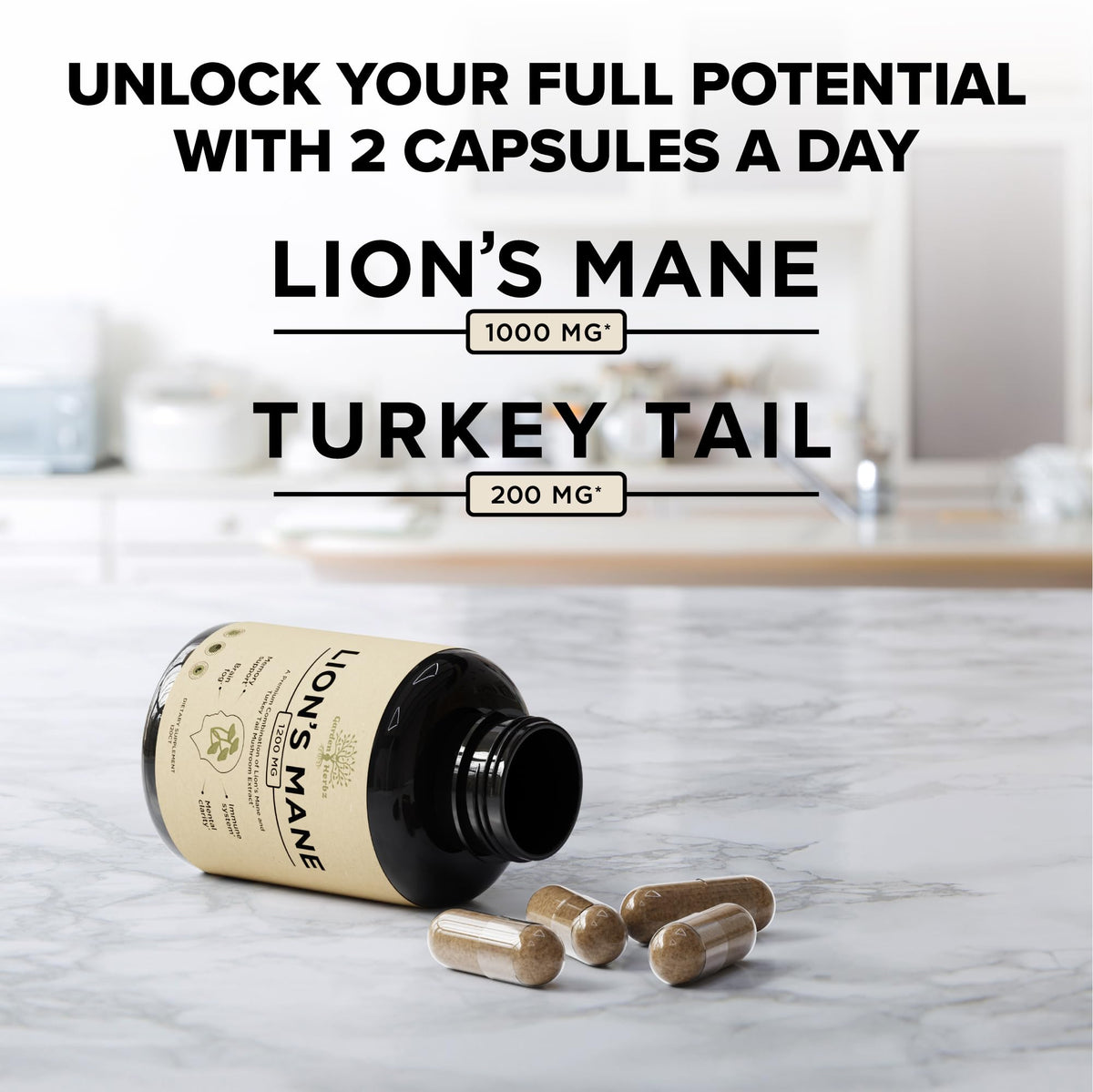 Garden of Herbz Lions Mane Supplement with Turkey Tail – Nootropic Brain Fog, Focus