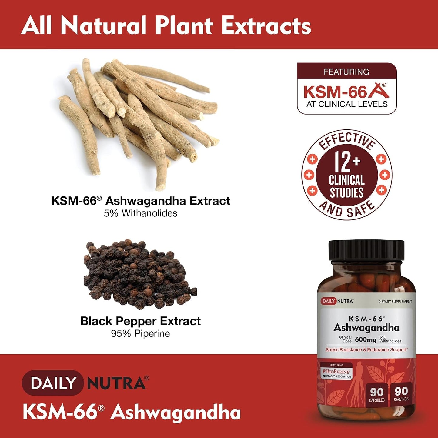 DailyNutra KSM 66 Ashwagandha (90 Capsules) and Mushroom Cacao Mix (16oz) Bundle for Relaxation and Focus