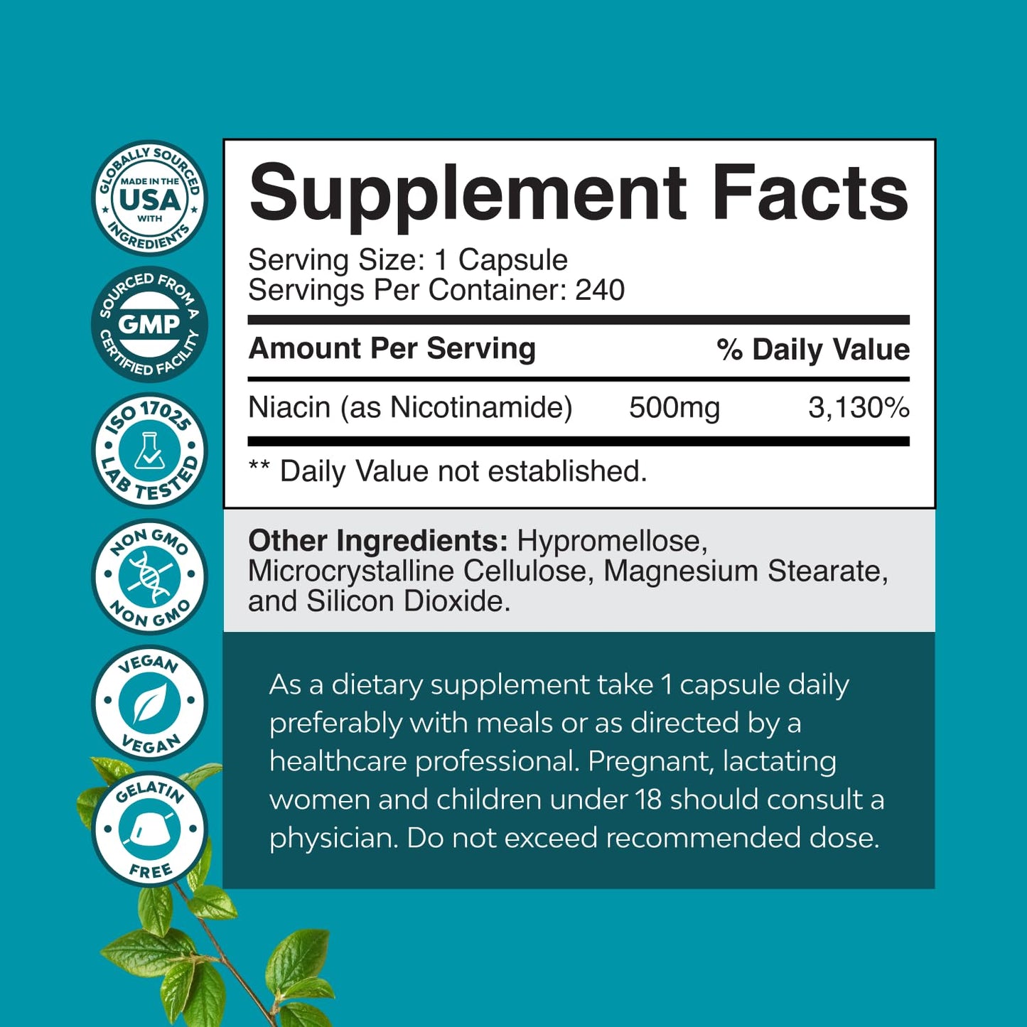 Vitamin B3 Niacinamide 500mg Capsules - Mitochondrial Energy and Potent Skin Supplement - Vitamin B3 Niacin Flush Free and Nicotinamide 500mg - Flush Free Niacin Supplement - 60 Count