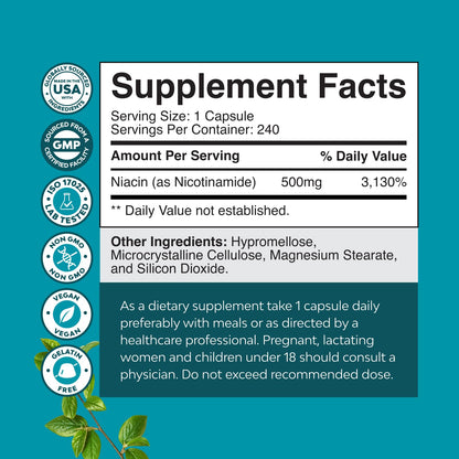 Vitamin B3 Niacinamide 500mg Capsules - Mitochondrial Energy and Potent Skin Supplement - Vitamin B3 Niacin Flush Free and Nicotinamide 500mg - Flush Free Niacin Supplement - 60 Count
