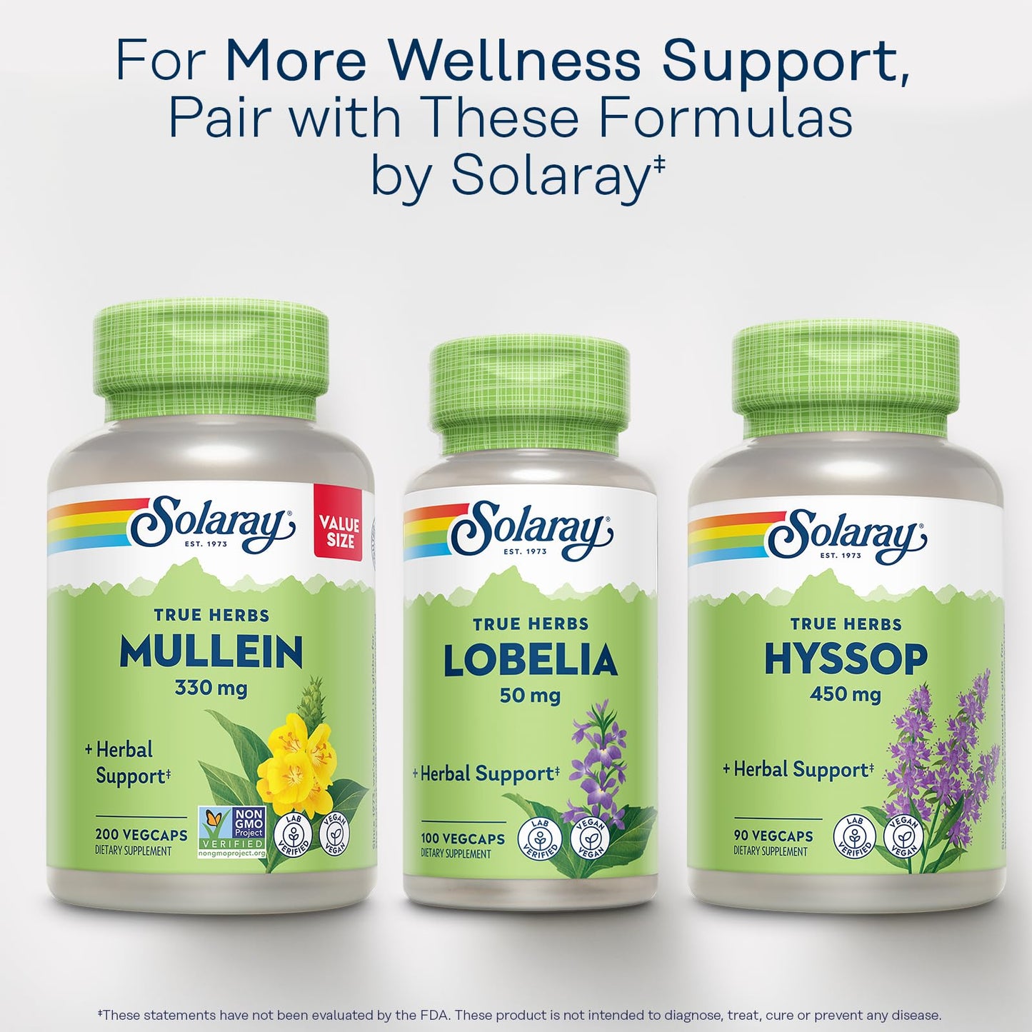 SOLARAY Mullein Leaf 330 mg - Soothing Herbal Support - Mullein Capsules Traditionally Used to Support Health and Wellness - Vegan, Non-GMO, Lab Verified, 60-Day Guarantee, 100 Servings, 100 VegCaps