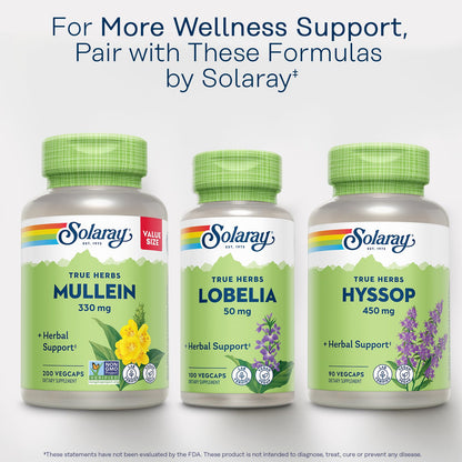 SOLARAY Mullein Leaf 330 mg - Soothing Herbal Support - Mullein Capsules Traditionally Used to Support Health and Wellness - Vegan, Non-GMO, Lab Verified, 60-Day Guarantee, 100 Servings, 100 VegCaps