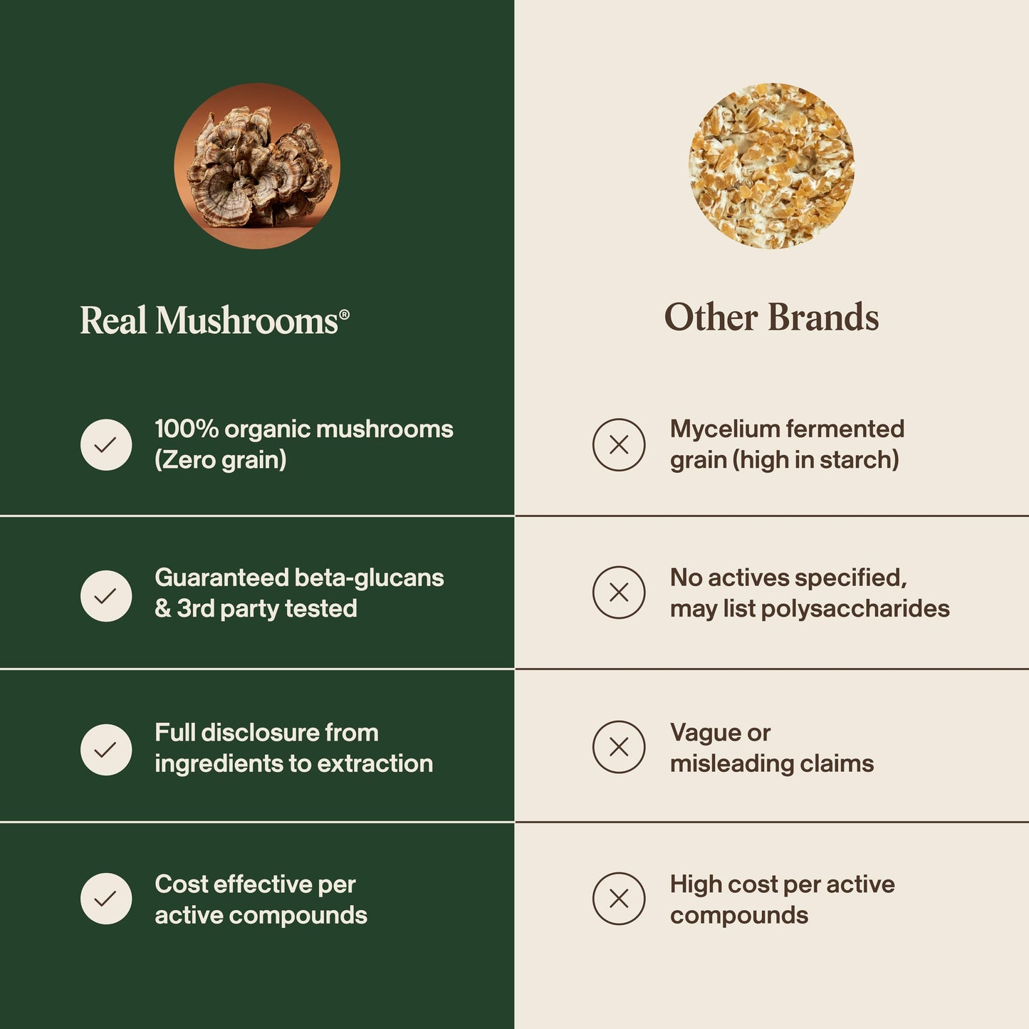 Real Mushrooms Turkey Tail Mushroom Powder – Organic Mushroom Extract for Daily Wellness Gut Harmony, & Energy Support with Beta Glucans – Vegan, Non-GMO, 45 Servings Functional Supplement