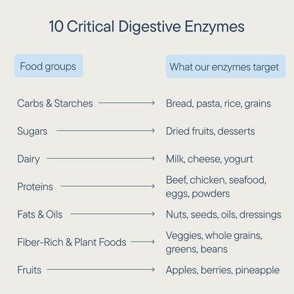 Zenwise Health Chewable Digestive Enzymes Mints, Digestion Relief - 60 CT | 60 Chewable Tablets, Berry Flavor, Enzyme Blend for Protein Carbs Fats, Bromelain, Protease, Papain, Gas Relief