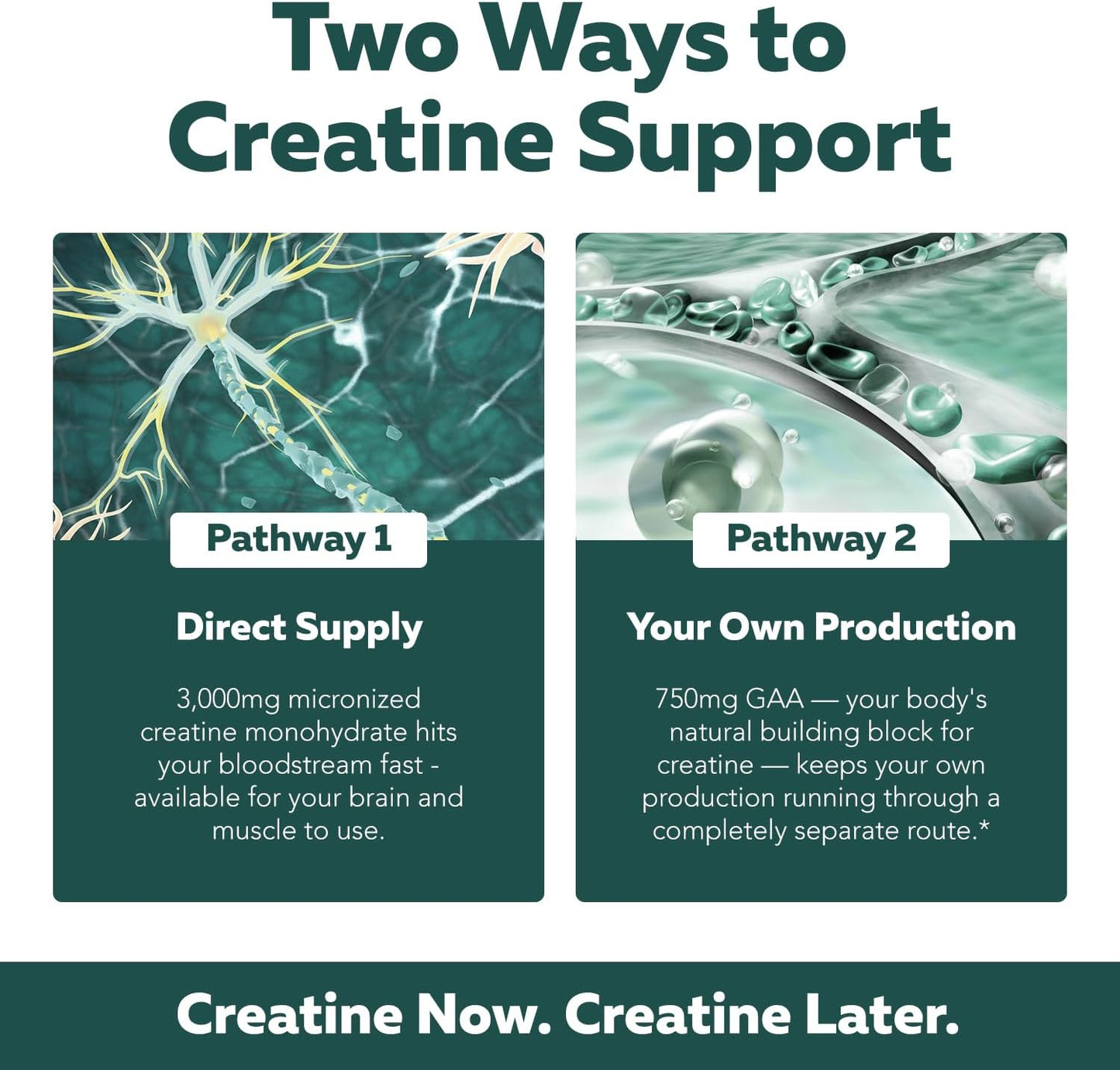 Creatine Reserve™ - Creatine Monohydrate Plus GAA for Mind, Muscle & Energy Support - Dual Pathway Delivery Creatine Supplement for Women & Men - Active B Vitamins & Taurine, Non-GMO (1 month supply)
