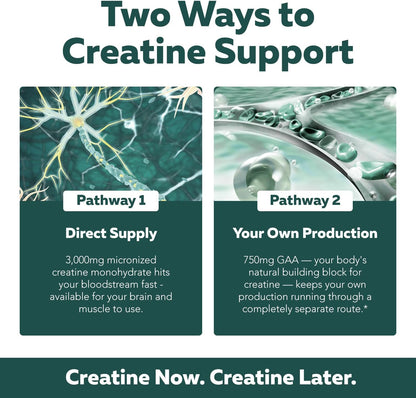 Creatine Reserve™ - Creatine Monohydrate Plus GAA for Mind, Muscle & Energy Support - Dual Pathway Delivery Creatine Supplement for Women & Men - Active B Vitamins & Taurine, Non-GMO (1 month supply)