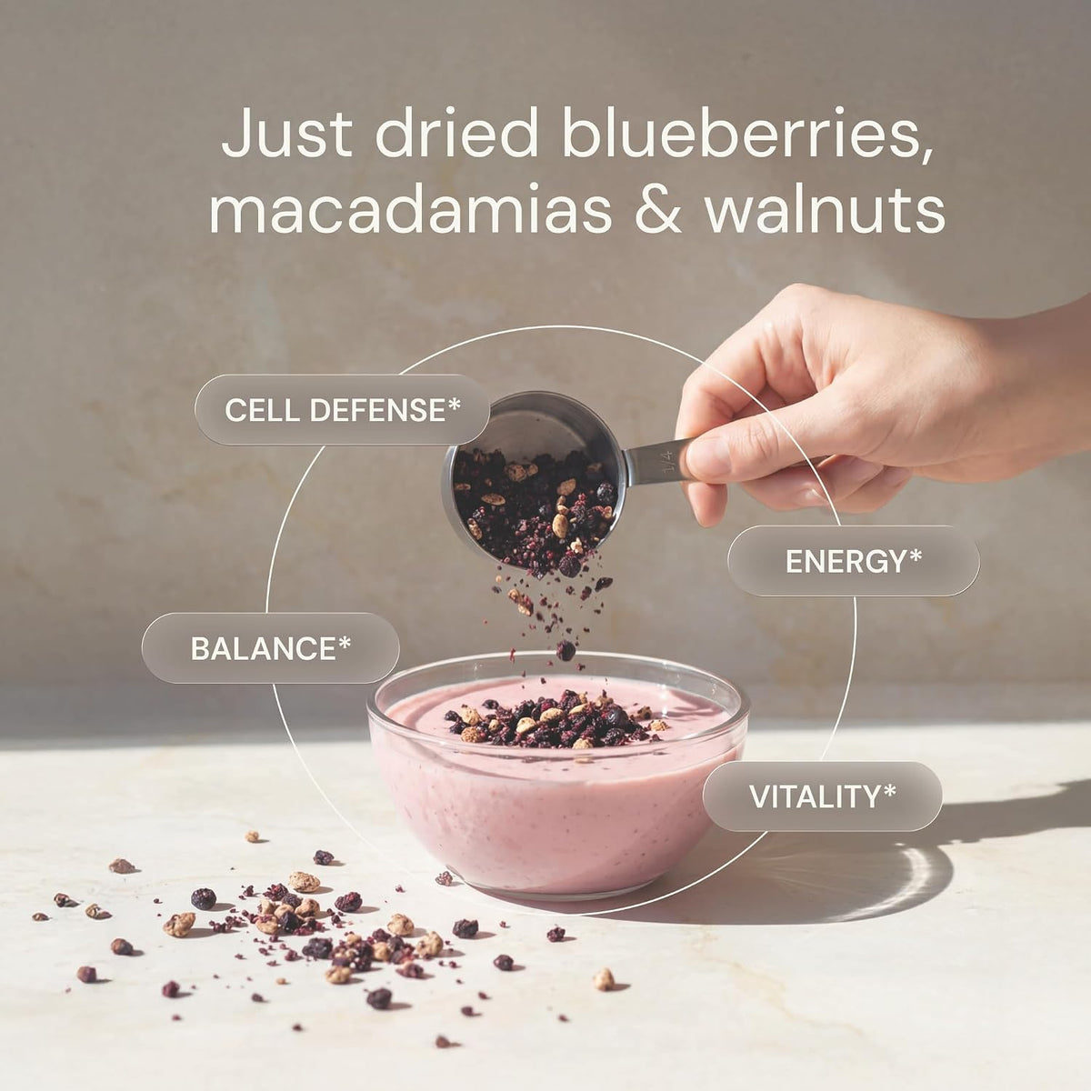 Blueprint Bryan Johnson Blueberry Nut Mix - Real Blueberries, Roasted Macadamia Nuts and Walnuts - No Additives or Added Sugars - Keto and Paleo Friendly - 170mg Polyphenols (30 Servings)