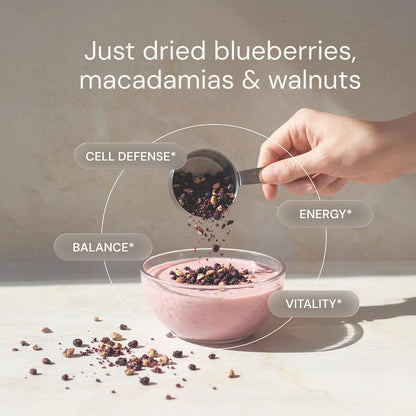 Blueprint Bryan Johnson Blueberry Nut Mix - Real Blueberries, Roasted Macadamia Nuts and Walnuts - No Additives or Added Sugars - Keto and Paleo Friendly - 170mg Polyphenols (30 Servings)