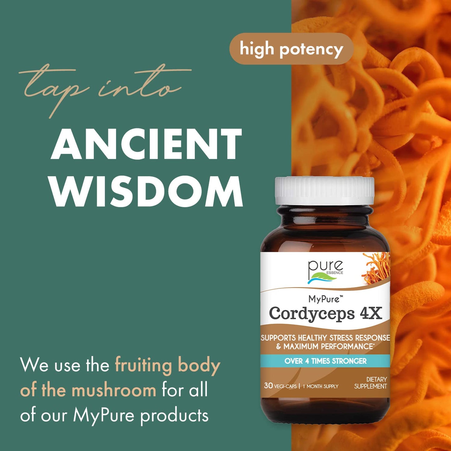 PURE ESSENCE LABS MyPure Cordyceps 4X Mushrooms - Concentrated Cordyceps Mushroom Powder Supplements for Immune System, Stress Response, Physical & Mental Performance - 2 Months Supply