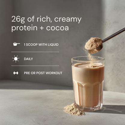 Blueprint Bryan Johnson Chocolate Protein Powder – Vegan Plant-Based Supplement with Cocoa Powder – Clean Ingredients – 26g Protein per Serving – Non-GMO – 30 Servings