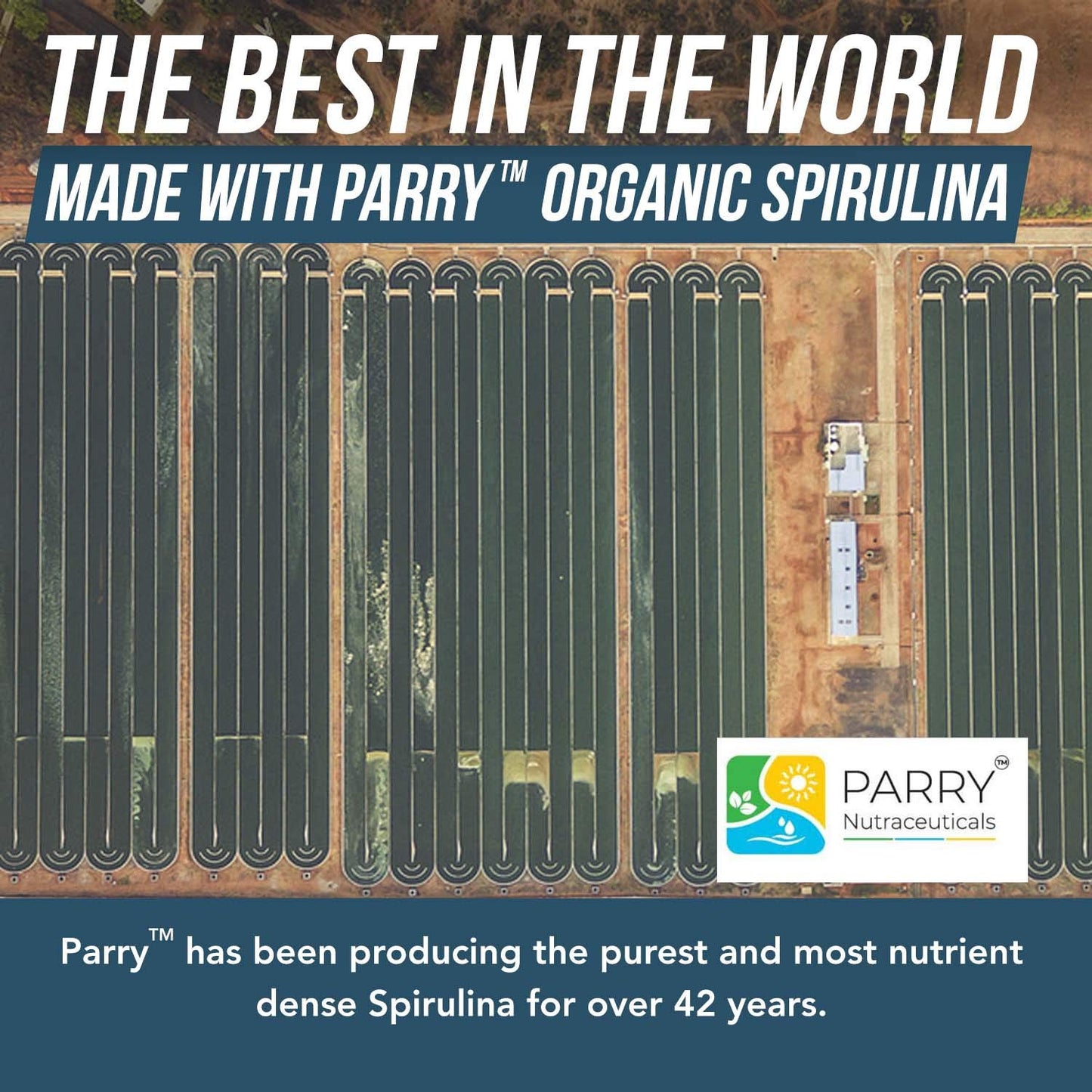 Organic Spirulina Tablets (360 Tablets) - Made with Parry® Spirulina, The Best Spirulina in the World, Highest Nutrient Density - Non-Irradiated, 3 Organic Certifications (90 Servings)