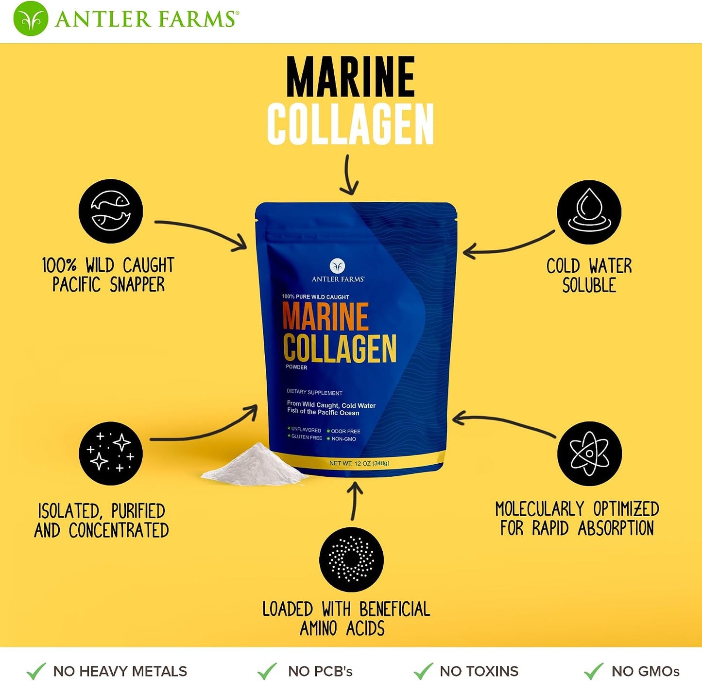 Antler Farms Marine Collagen Powder - Wild Caught Pacific Snapper, 12 oz | 100% Pure, Soluble in Hot or Cold Liquids, Highly Bioavailable, Rapid Absorption, No Taste or Smell