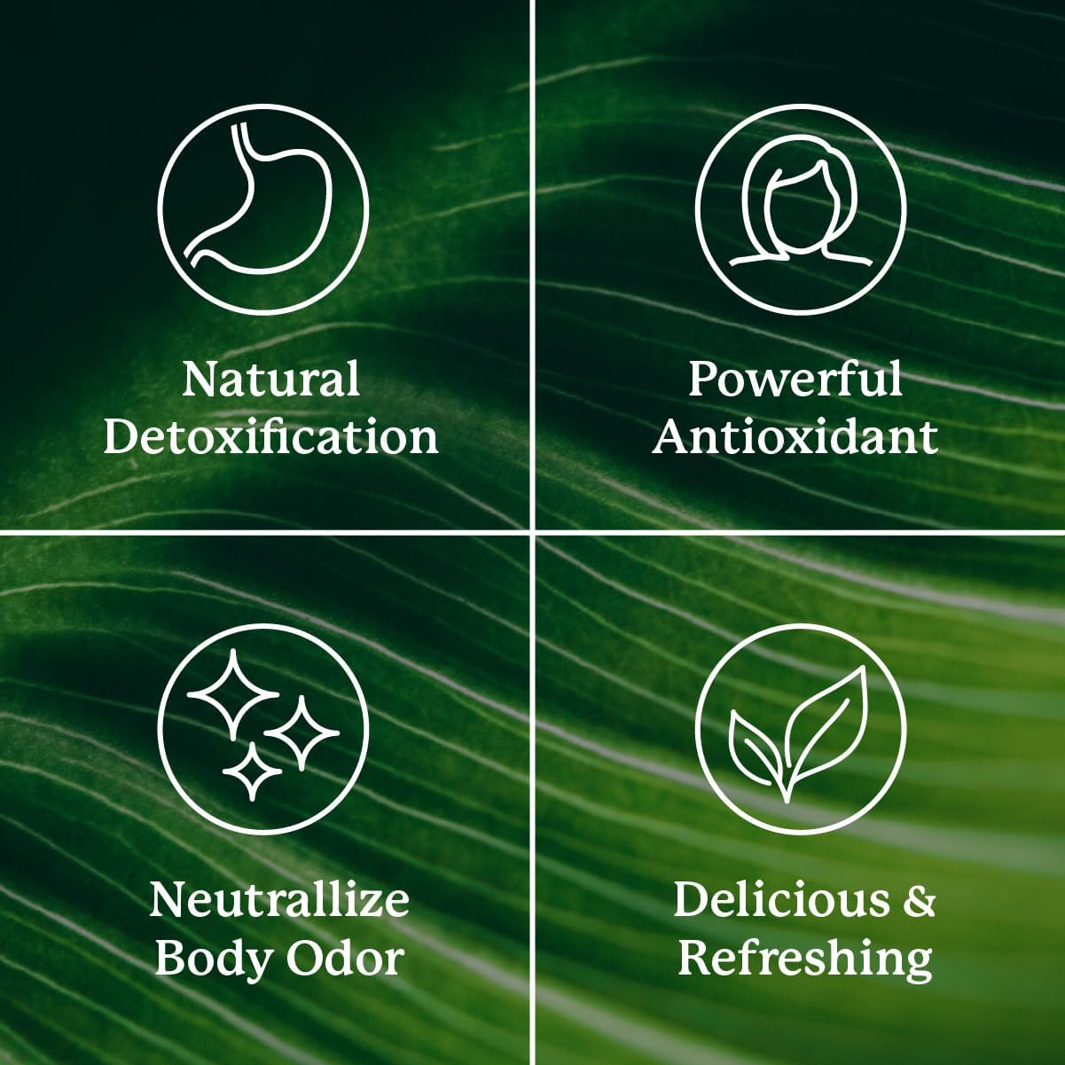 Nature's Sunshine Chlorophyll, 60 Softgel Capsules: Support Digestion, Immunity & Detoxification with Internal Deodorant Benefits. Easy-to-Swallow Capsules Promote Overall Well-Being & Energy