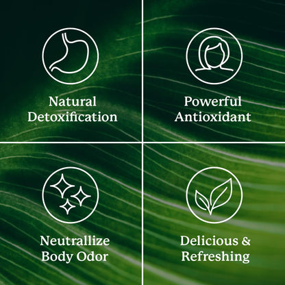Nature's Sunshine Chlorophyll, 60 Softgel Capsules: Support Digestion, Immunity & Detoxification with Internal Deodorant Benefits. Easy-to-Swallow Capsules Promote Overall Well-Being & Energy