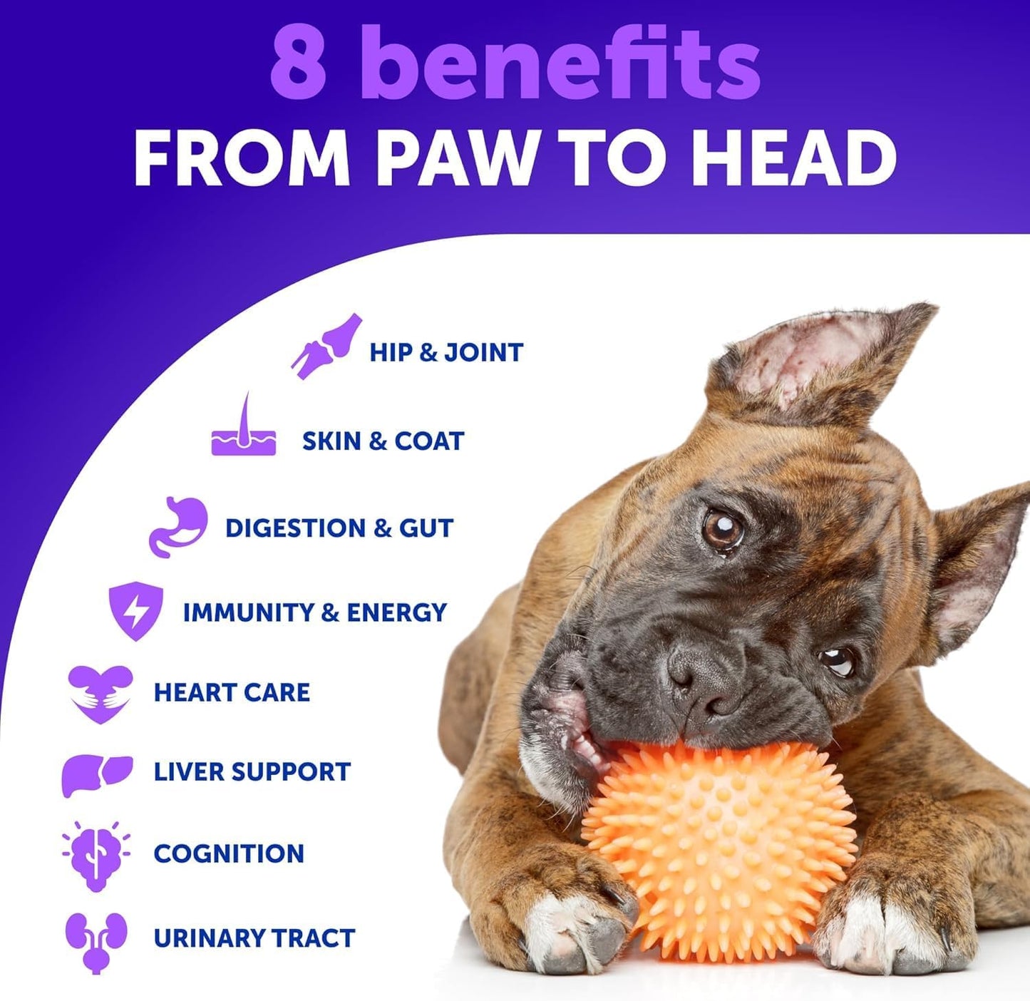 20 in 1 Dog Multivitamin + Allergy Relief Chews Bundle - Vitamins for Hip & Joint Support, Immunity, Mobility - Omega 3 for Skin & Coat, Anti-Itch, Hot Spots Treatment, Seasonal Allergy