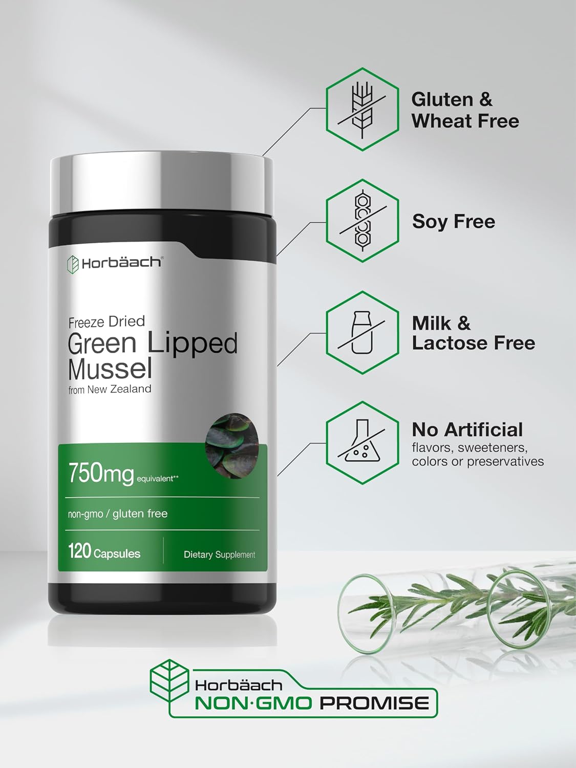 Horbäach Green Lipped Mussel |120 Capsules | from New Zealand | Premium Freeze Dried Mussel Powder | Non-GMO and Gluten Free