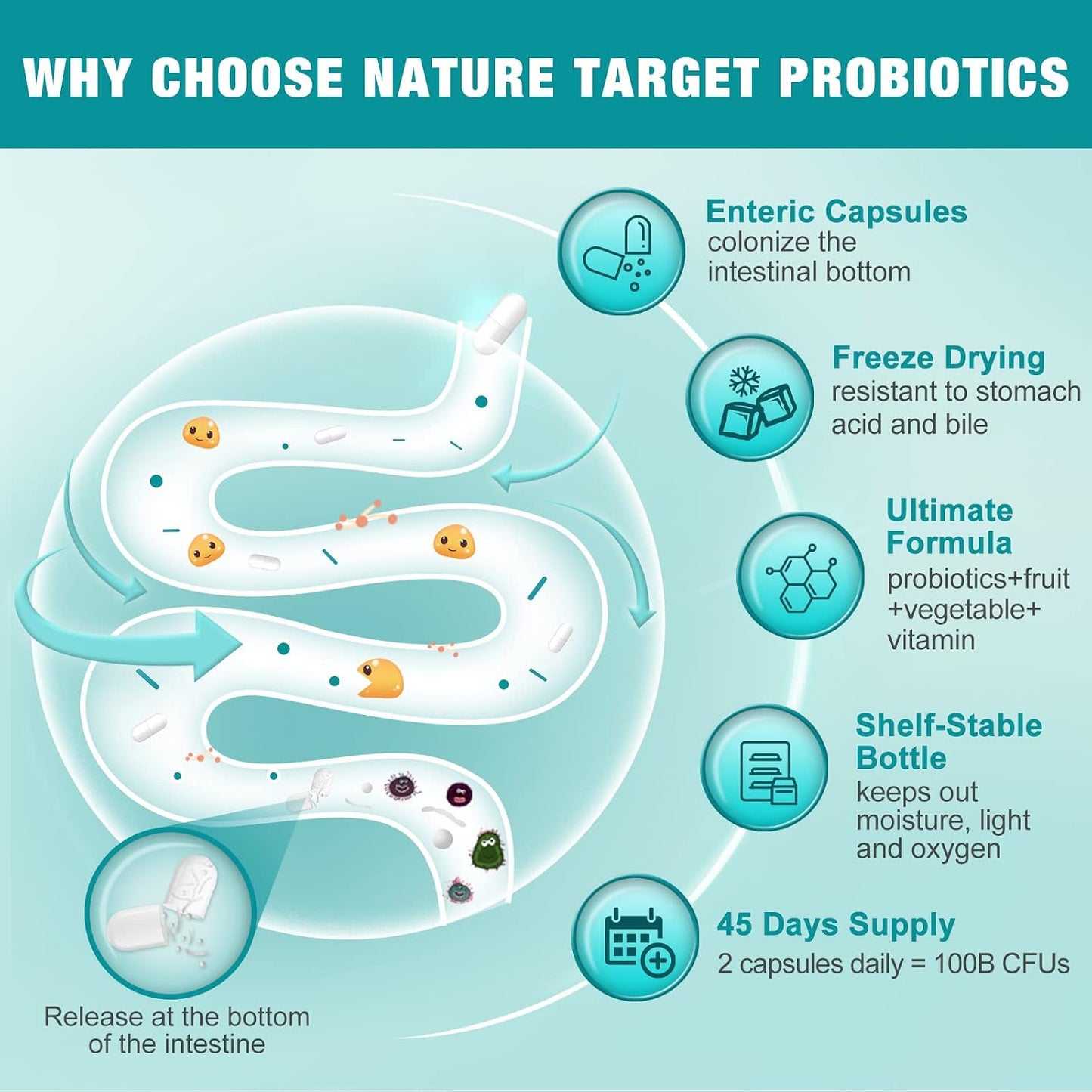 NATURE TARGET Probiotics for Women-Men with Prebiotics, 90 Veggie Capsules | 100 Billion for Digestive, Gut and Immune Health, No Refrigeration (45 Days Supply)