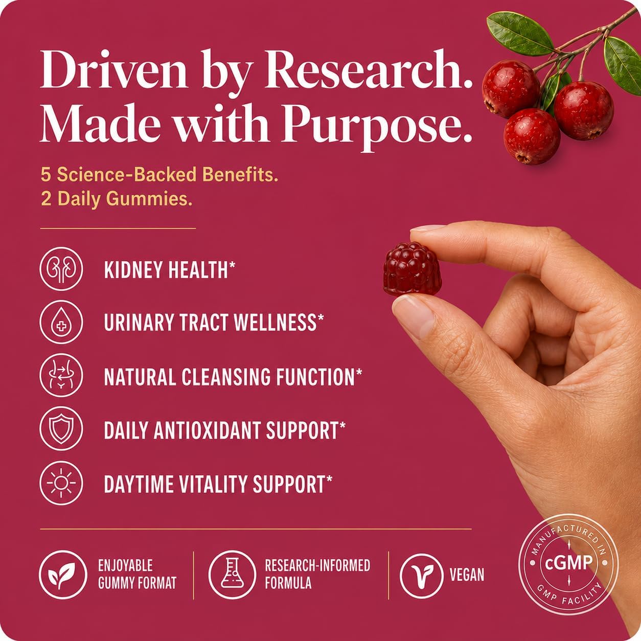 2 Pack Cranberry Gummies -Urinary Tract Health and Kidney Cleanse | High Absorption Formula with Ashwagandha, Selenium 363% DV, Ginseng&VB for Daily Antioxidant &Vitality Support-120 Gummies