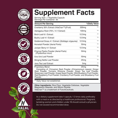 Advanced Kidney Support Supplement - Kidney Cleanse Detox & Repair Cranberry Extract Capsules with Uva Ursi, Stinging Nettle & Astragalus for Kidney Health - Urinary Tract Health - 60 Count