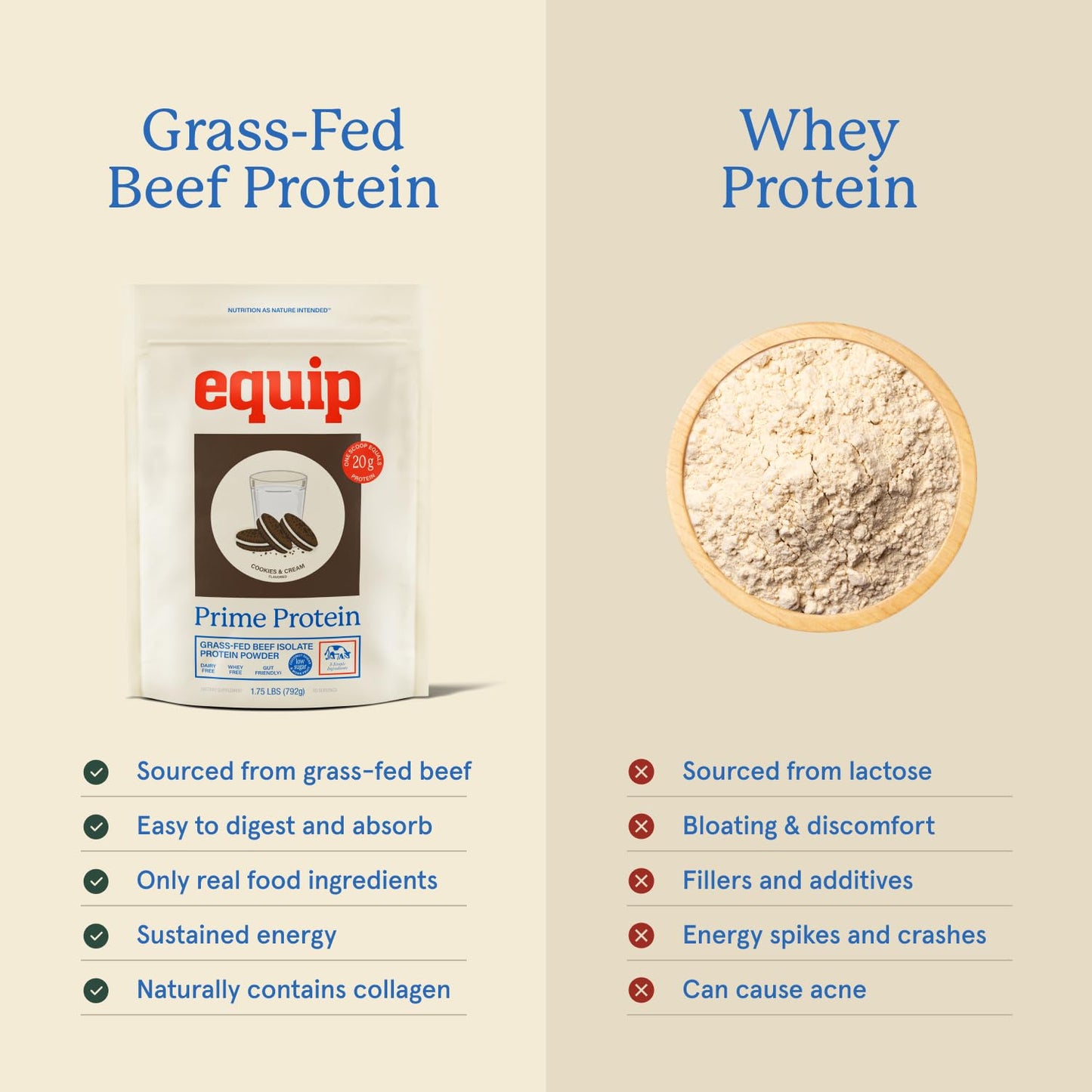 Equip Prime Chocolate Protein Powder - Gut-Friendly, No Sugar Protein Shake Powder with Grass-Fed Beef & Natural Collagen - Rich & Creamy Mix - 21g Per Serving - Whey & Dairy-Free (30 Scoops)