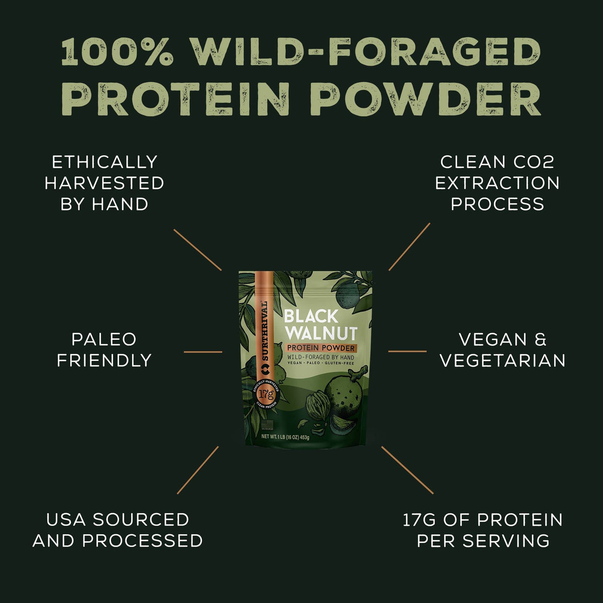 Surthrival: Black Walnut Protein Powder, Wild-Foraged, Ethically-Harvested, 17g Protein