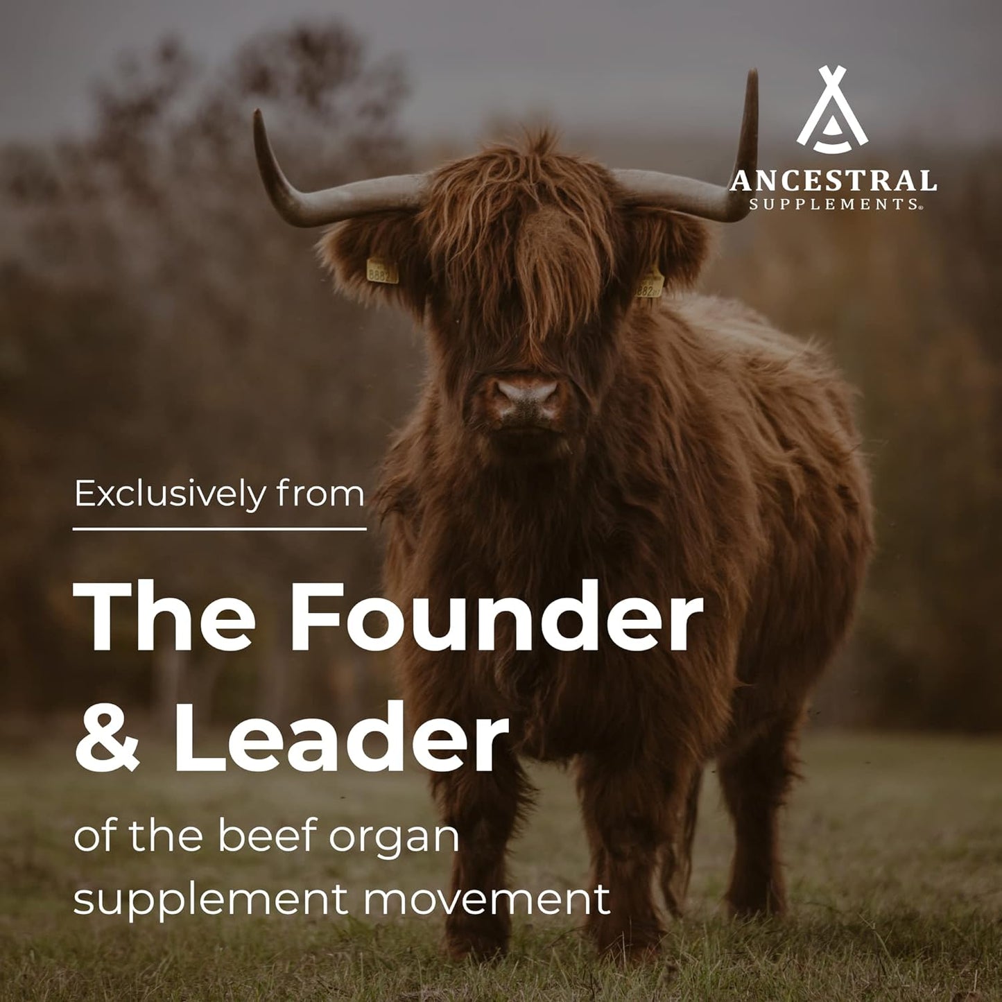 Ancestral Supplements Grass Fed Beef Tracheal Cartilage with Liver, 180 Ct | Cartilage plus liver support supplement promotes immune health, joint support and the body's natural healing.