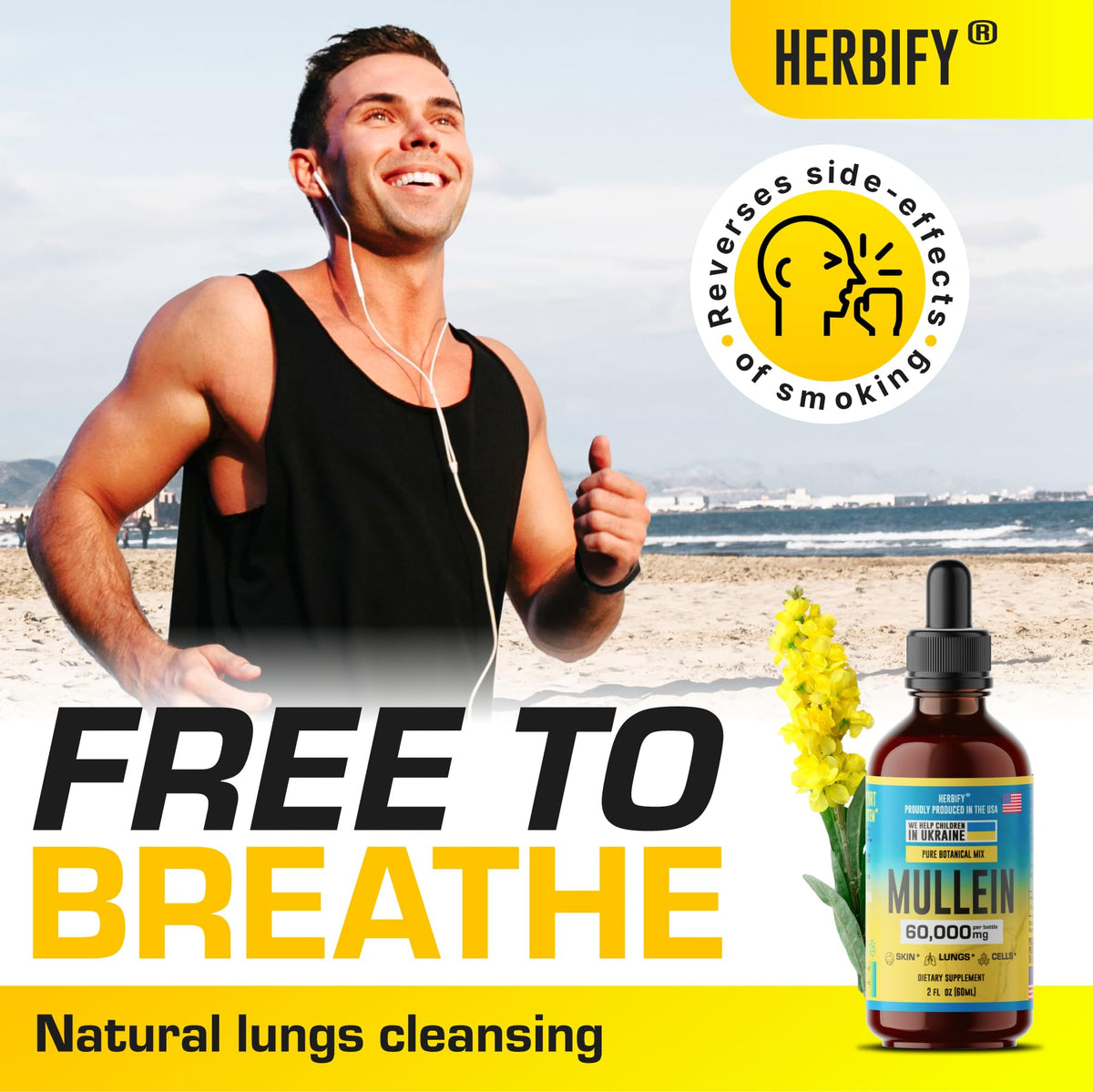 HERBIFY Mullein Drops - Lung Cleanse - Mullein Leaf Extract - Powerful Mullein