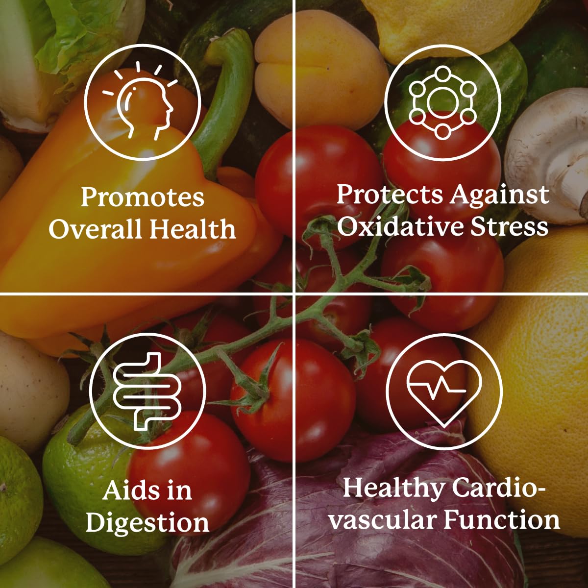 Nature's Sunshine Super Supplemental: Complete Multivitamin with Minerals, Antioxidants & More for Nutritional Gaps, Overall Health, Immune & Energy Support. 120 Tabs