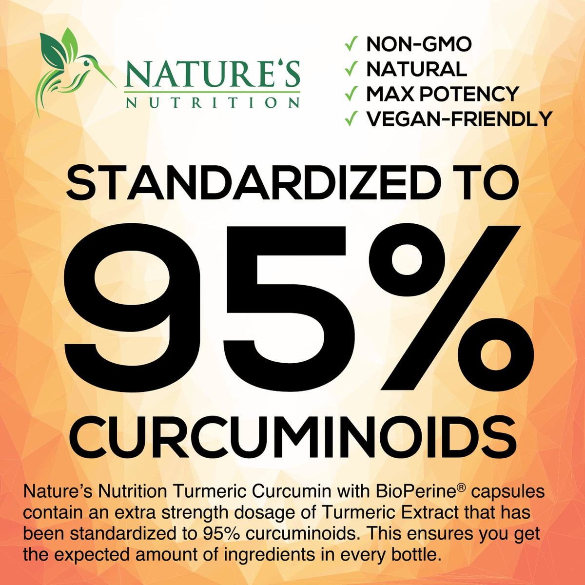Turmeric Curcumin with BioPerine & Ginger 95% Standardized Curcuminoids 1950mg