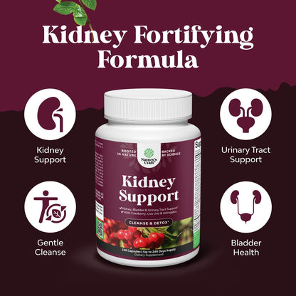 Advanced Kidney Support Supplement - Kidney Cleanse Detox & Repair Cranberry Extract Capsules with Uva Ursi, Stinging Nettle & Astragalus for Kidney Health - Urinary Tract Health - 60 Count