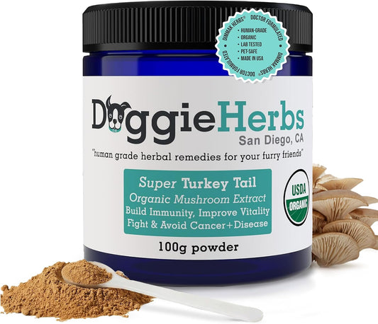 High Potency Turkey Tail Mushroom Extract – 55% Beta-Glucans (Coriolus Versicolor) – Clinical Strength Fruiting Body Powder for Immune Defense & Recovery – 100g