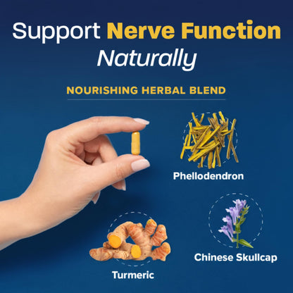 Redd Remedies, Nerve Shield, Supports Healthy Nerve Structure and Circulation, 60 Vegan Capsules